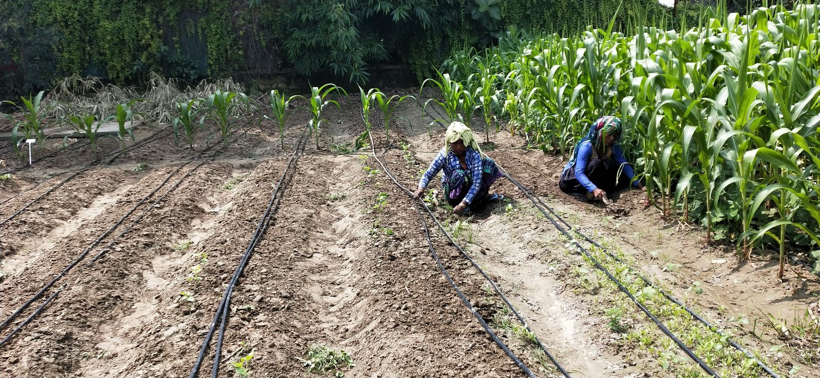 WhatsApp Image 2025-05-12 at 17.12.20