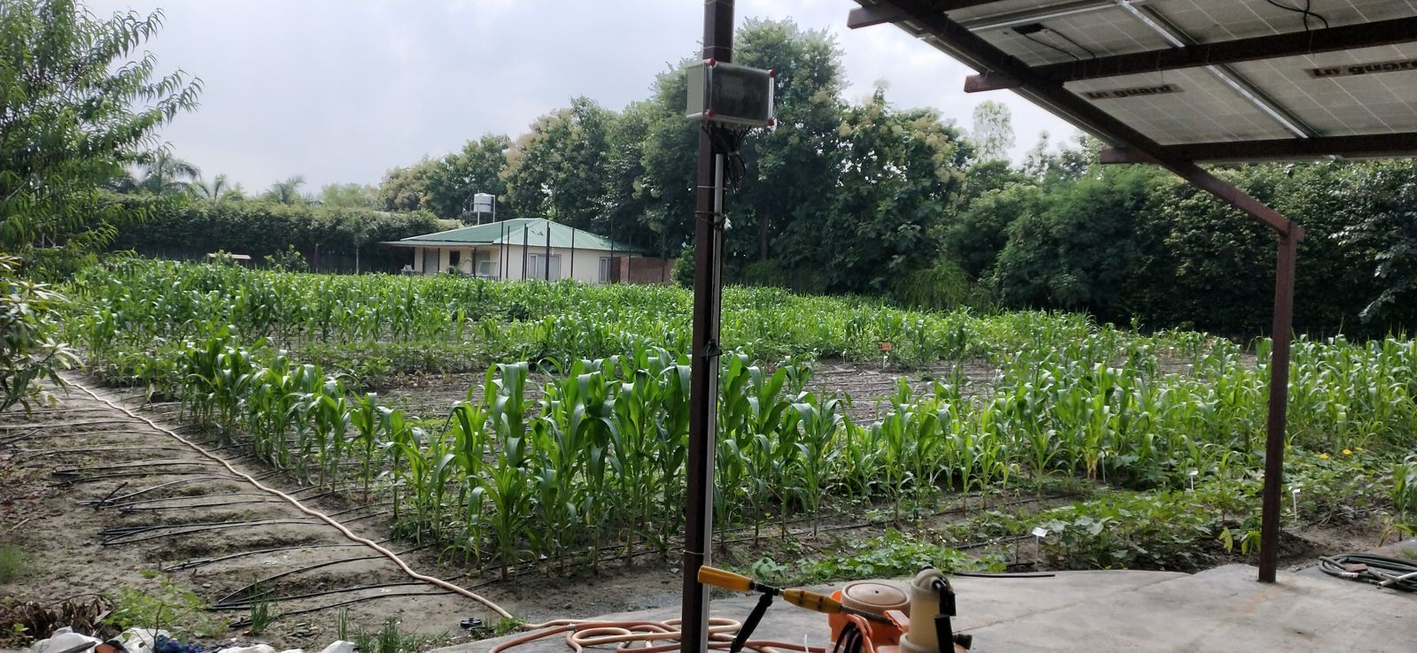 WhatsApp Image 2025-05-12 at 17.23.19